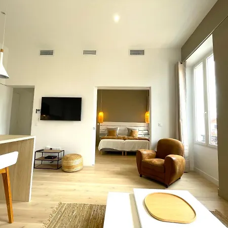 2 Pieces Renove - Centre Ville - Lou3 Apartment Cannes