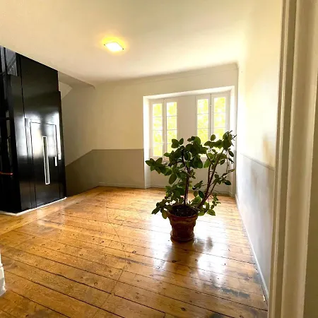 Apartment 2 Pieces Renove - Centre Ville - Lou3 *